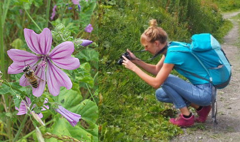 Environnement Polyexpert Environnement